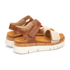Image of Pikolinos Palma Strap Wedge Sandal - Brown/Ivory