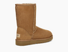 Image of UGG® Classic Short II Boot - Chestnut