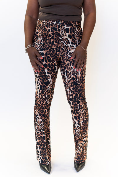 AZI Cheetah Print Flare Leg Pant - Cheetah