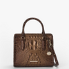 Image of Brahmin Cami Satchel - Ganache Ombre Melbourne