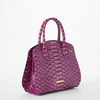 Image of Brahmin Rosetta Satchel - Island Petal Marquina
