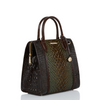 Image of Brahmin Caroline Satchel - Hunter Amaya