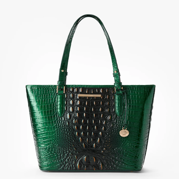 Brahmin Medium Asher Tote - Evergreen Ombré Melbourne