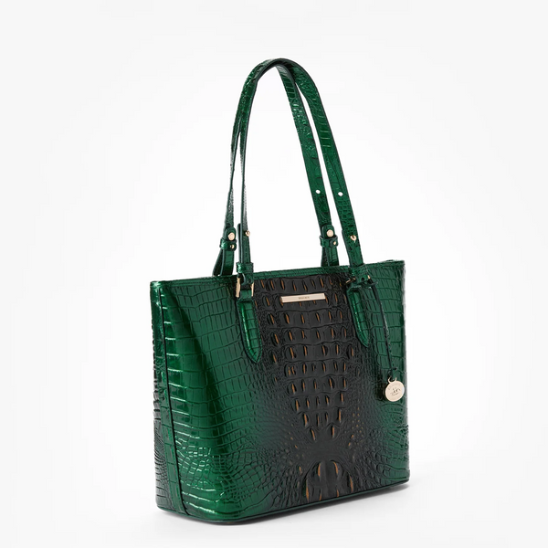 Brahmin Medium Asher Tote - Evergreen Ombré Melbourne