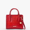 Image of Brahmin Cami Satchel - Red Opal Melbourne
