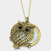 Image of Owl Motif Magnifying Glass Necklace - Antique Gold