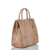 Image of Brahmin Caroline Satchel - Sunkiss Melbourne
