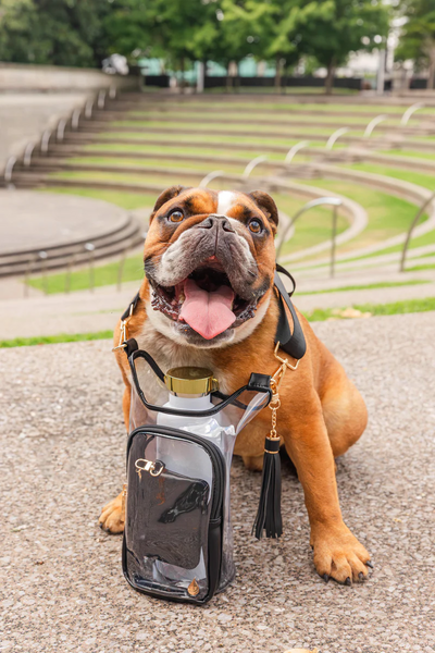 WanderFull Clear Stadium Hydrobag with Pouch - Clear/Black
